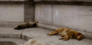 Nakliyat Sözleşmesi Nasıl Hazırlanmalı? En Etkili Yöntemler!