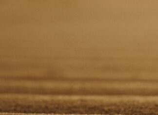 Nakliyat Firmasıyla Anlaşmazlık Durumunda Ne Yapmalı? Etkili Çözümler!