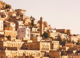 Öğrenci Evleri İçin Uygun Nakliyat Paketleri: En İyi Seçenekler!