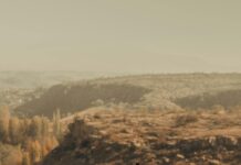 Eskişehir Öğrenci Nakliyat Fiyatları: En Uygun ve Güvenilir Seçenekler