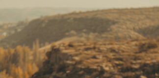 Taşınırken Mobilyalar Nasıl Korunur? En Etkili Yöntemler!