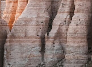 Uygun Fiyatlı Taşımacılık İçin Altın Tavsiyeler: Kolay ve Güvenli!