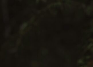 Uzun Süreli Eşya Depolama Ücretlendirme Rehberi: Bilmeniz Gerekenler