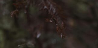 Nakliyat Firması İle Sözleşme Yaparken Dikkat Edilmesi Gerekenler Nelerdir?