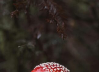 Nakliyat Firması İle Sözleşme Yaparken Dikkat Edilmesi Gerekenler Nelerdir?