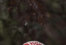 Taşınma Sürecinde Dikkat Edilmesi Gereken Kritik Noktalar Nelerdir?