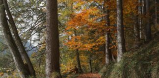 Eşyaları Listeleyerek Taşınmanın Kolay Yolu: Pratik İpuçlarıyla!