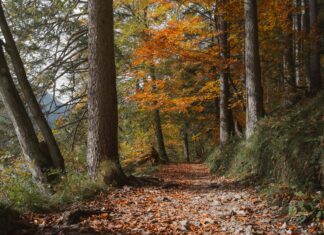 Eşyaları Listeleyerek Taşınmanın Kolay Yolu: Pratik İpuçlarıyla!