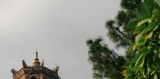 Taşınma Planlayıcısı Uygulamaları İşe Yarıyor Mu? Şaşırtan Gerçekler!