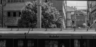 Profesyonel Ekiplerimizle Güvenli Taşımacılık: Neden Tercih Edilmeli?