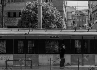 Profesyonel Ekiplerimizle Güvenli Taşımacılık: Neden Tercih Edilmeli?