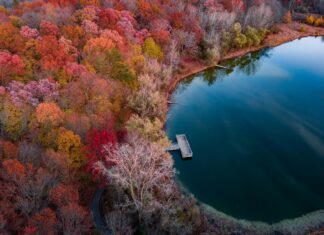 Eşya Depolama Mı Yoksa Taşımacılık Mı? En İyi Seçenekleri Keşfedin