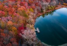 Evden Eve Nakliyat Mı Kendi Taşınmak Mı? En İyi Seçim Nedir?