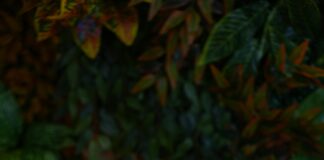 Taşınmadan Önce Yapılması Gereken Hazırlıklar: Eksiksiz Rehber!