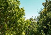 7/24 Acil Nakliyat Hizmeti Veren Firmalar: Hızlı ve Güvenilir Çözümler