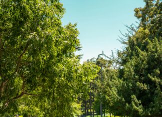 7/24 Acil Nakliyat Hizmeti Veren Firmalar: Hızlı ve Güvenilir Çözümler