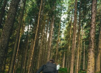 Sosyal Medyada Nakliyat Firma Seçimi: En İyi Tüyolar ve İpuçları