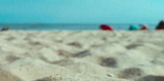 Kendi Aracımla Taşınmak Mı Yoksa Nakliyat Şirketi Mi Tercih Etmeliyim?