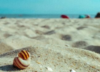 Kendi Aracımla Taşınmak Mı Yoksa Nakliyat Şirketi Mi Tercih Etmeliyim?