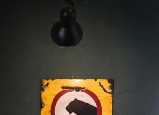 Sigortalı Taşımacılıkta Hasar Tespiti ve Tazmin Süreci Nasıl İşler?