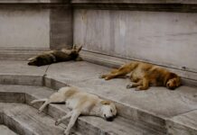 Emlakçılar İle Nakliyat Firmalarının İş Birlikleri: Başarı Sırları