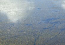 İlk Defa Taşınacaklar İçin Temel Rehber: Kolay ve Hızlı Taşınma İpuçları