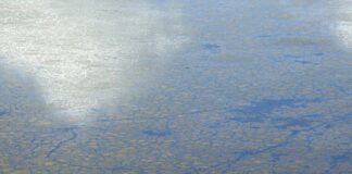 İlk Defa Taşınacaklar İçin Temel Rehber: Kolay ve Hızlı Taşınma İpuçları