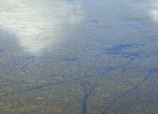 İlk Defa Taşınacaklar İçin Temel Rehber: Kolay ve Hızlı Taşınma İpuçları