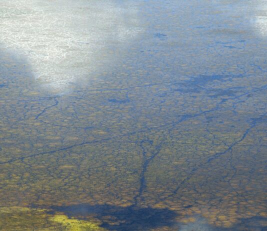 İlk Defa Taşınacaklar İçin Temel Rehber: Kolay ve Hızlı Taşınma İpuçları