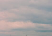 Şehir Şehir Nakliyat Rehberi Serisi: En İyi Taşıma İpuçları!