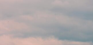 Şehir Şehir Nakliyat Rehberi Serisi: En İyi Taşıma İpuçları!