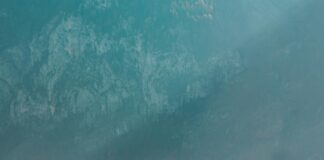 Şişli Taşımacılık Hizmetinde Kalite Standartlarımız Neden Fark Yaratıyor?