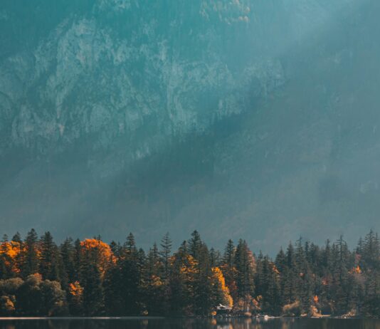 Şişli Taşımacılık Hizmetinde Kalite Standartlarımız Neden Fark Yaratıyor?