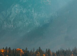 Şişli Taşımacılık Hizmetinde Sözleşme Yapmak Neden Önemli? Cevaplarıyla!