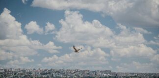 Yabancı Uyruklu Kişiler İçin Türkiye’de Ev Taşıma Rehberi: Kolay ve Hızlı Çözümler