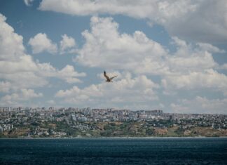 Yabancı Uyruklu Kişiler İçin Türkiye’de Ev Taşıma Rehberi: Kolay ve Hızlı Çözümler