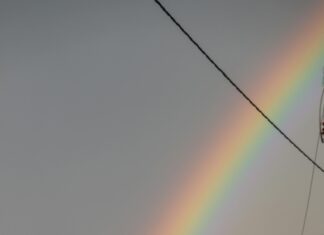 Yeni Mezunlar İçin İlk Taşınma Deneyimi: İpuçları ve Sırlar