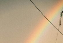 Sektör Haberleri: Taşımacılıkta Yeni Teknolojilerle Devrim!