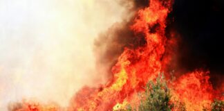 Çevre Dostu Taşınma Yöntemleri: Kolay Ve Etkili İpuçlarıyla Keşfedin