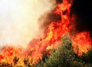 Çevre Dostu Taşınma Yöntemleri: Kolay Ve Etkili İpuçlarıyla Keşfedin