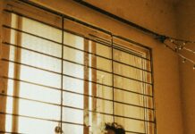 Doğru Nakliyat Firmasını Bulmak İçin Google İncelemeleri Nasıl Kullanılır?