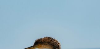 2025 Yılında Taşınma Trendleri: Bilmeniz Gereken Şaşırtıcı Yenilikler