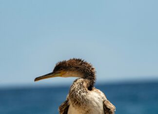 2025 Yılında Taşınma Trendleri: Bilmeniz Gereken Şaşırtıcı Yenilikler