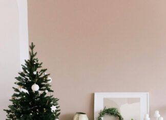 Evden Eve Nakliyatta En Sık Kullanılan Malzemeler: Neden Önemlidir?