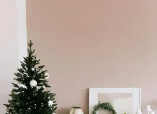 Evden Eve Nakliyatta Kullanılan Araçlar Ve Donanımlar Neler? Evden Eve Nakliyatta Kullanılan Araçlar Ve Donanımlar Neler?