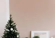 Evden Eve Taşımacılıkta Kadın Personel Desteği İle Güvenli Taşıma Mümkün Mü? Home