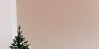 Evden Eve Taşımacılıkta Kadın Personel Desteği İle Güvenli Taşıma Mümkün Mü?