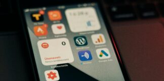 WordPress İle Nakliyat Blogu Açma Rehberi: Başarı İçin İpuçları