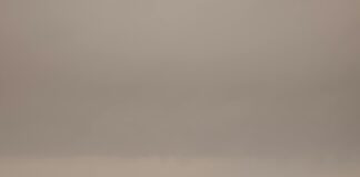 Müşteri Deneyimleri: Gerçek Taşınma Hikayeleriyle Şaşırtan Anlar