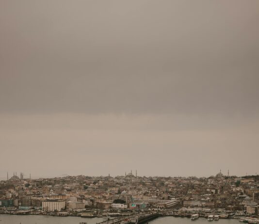 Müşteri Deneyimleri: Gerçek Taşınma Hikayeleriyle Şaşırtan Anlar